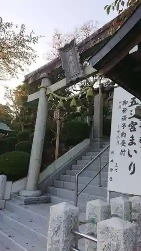 坂井神社の鳥居