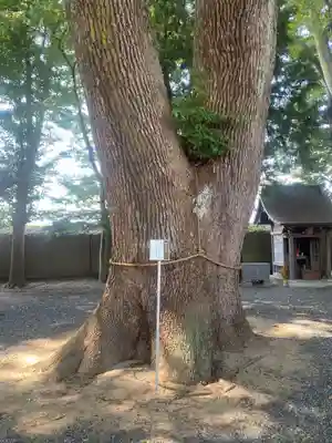 三島八幡神社(福島県)