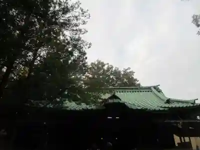 赤坂氷川神社(東京都)
