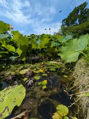 岩井八坂神社(茨城県)