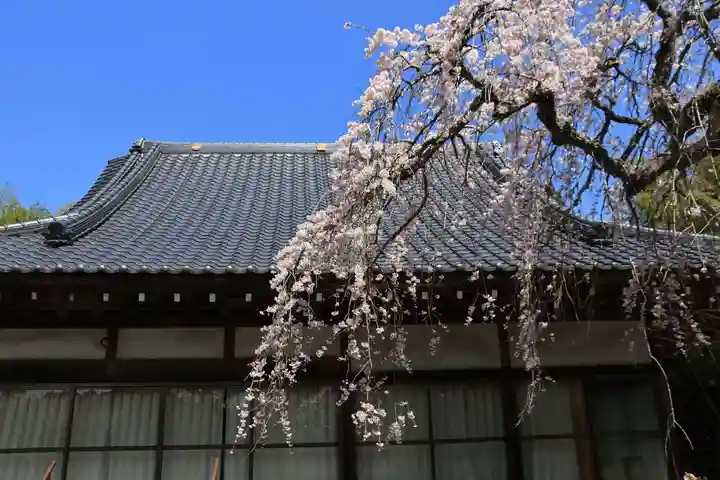 柳生院の本殿・本堂