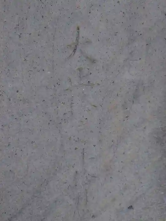 湯福神社(長野県)