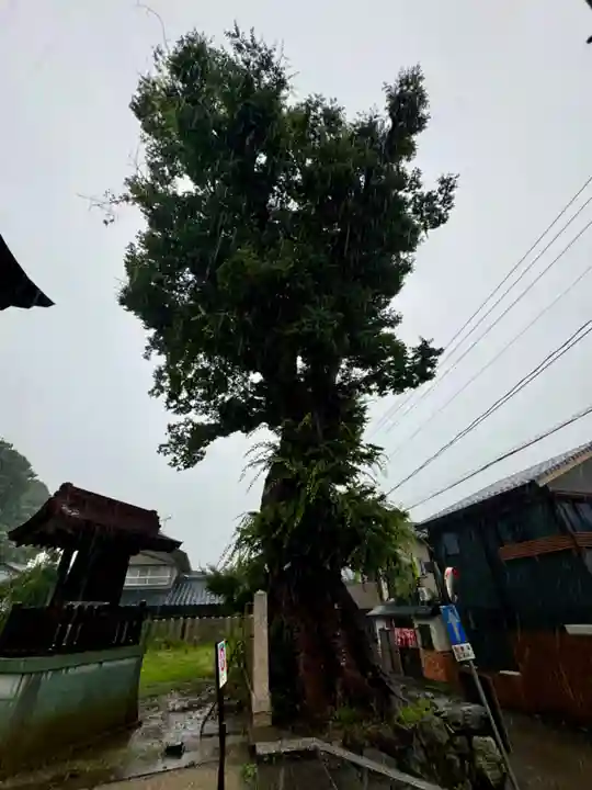 三国神社(福井県)
