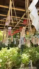 白山神社(新潟県)