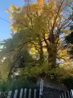 王子神社(東京都)