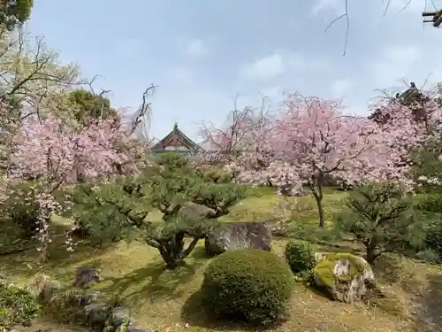 平安神宮の庭園