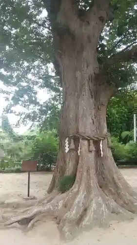 素鵞神社(茨城県)