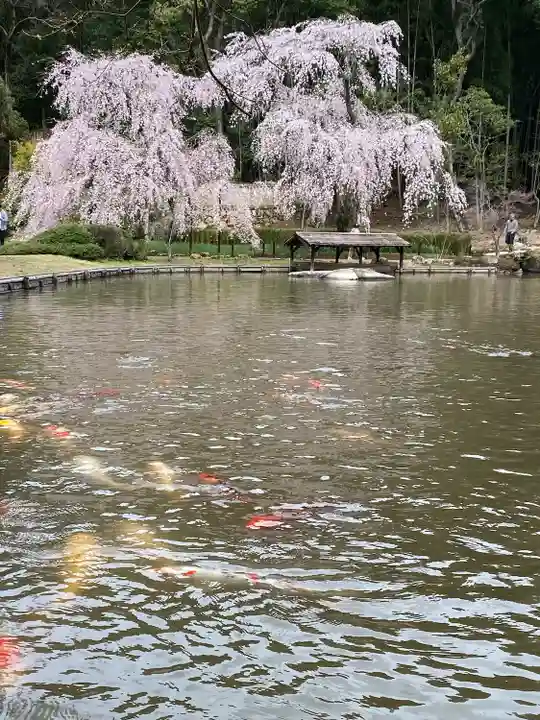 曹源寺(岡山県)