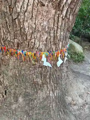 鳥飼八幡宮の{uncategorized: "未分類", other: "その他", undefined: "問題あり", building: "その他建物", grave: "お墓", sacred_gate: "鳥居", guardian: "狛犬", statue: "像", buddha: "仏像", history: "歴史", nature: "自然", garden: "庭園", animal: "動物", pagoda: "塔", temizu: "手水舎", mountain_gate: "山門・神門", sanctuary: "本殿・本堂", subordinate: "末社・摂社", art: "芸術", scenery: "景色", jizo: "地蔵", ema: "絵馬", goshuin: "御朱印", omikuji: "おみくじ", items: "授与品その他", amulet: "お守り", goshuincho: "御朱印帳", eats: "食事", festival: "お祭り", votive_dance: "神楽", shichigosan: "七五三参", wedding: "結婚式", experience: "体験その他", initially: "初詣", around: "周辺", anti_infection: "感染症対策"}