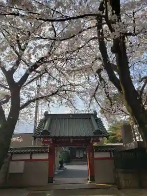理性寺(東京都)