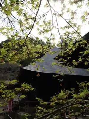 普門寺(切り絵御朱印発祥の寺)のその他建物