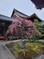 観智院(東寺子院)(京都府)