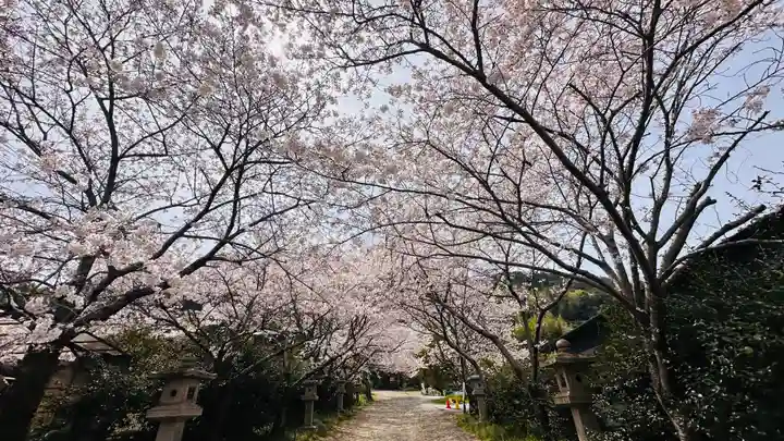 大石神社(京都府)