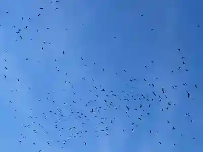 竜角寺(福島県)