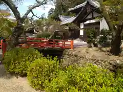 金剛寺(大阪府)