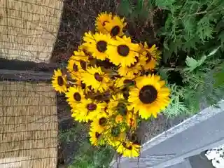 錦山天満宮の手水舎