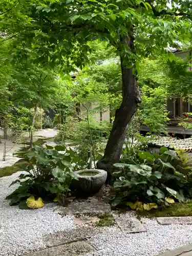 興聖寺(京都府)