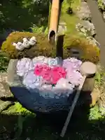 柳谷観音 楊谷寺(京都府)