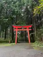 箱根神社(神奈川県)
