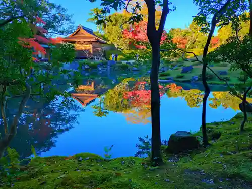 寿量山　速成寺(奈良県)