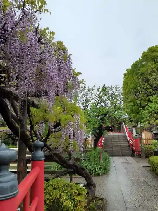 亀戸天神社の周辺