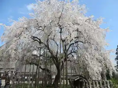 足羽神社(福井県)