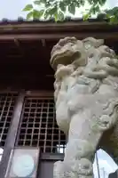 白山社(井堀)の狛犬