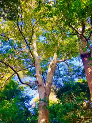 金刀比羅神社(茨城県)