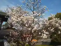 高幡不動尊 金剛寺の自然