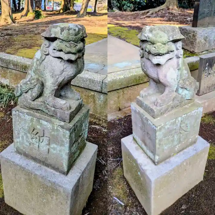 島田大宮神社の狛犬