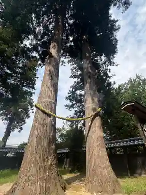 守りの神　藤基神社(新潟県)