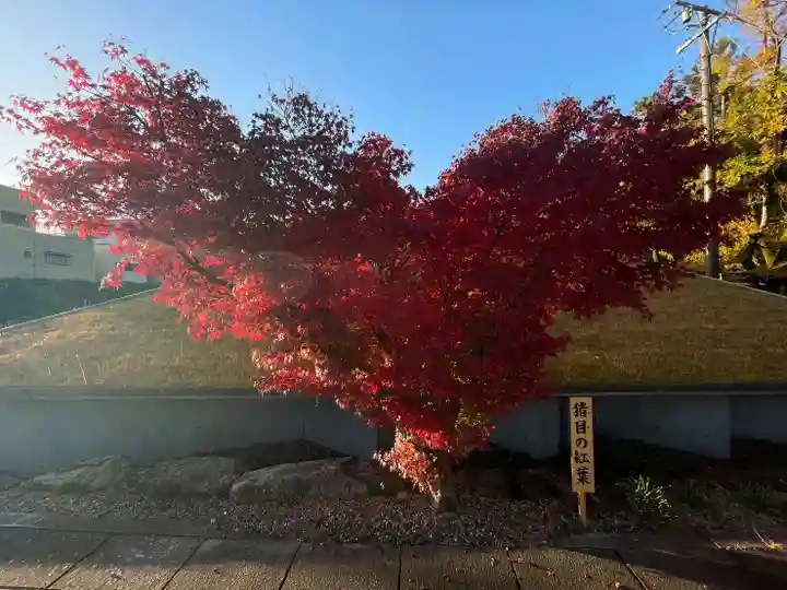 伊勢の国 四天王寺(三重県)