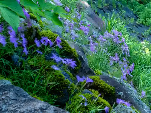 白山比咩神社　奥宮(石川県)