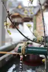 伊和志津神社の手水