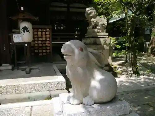 岡崎神社の狛犬