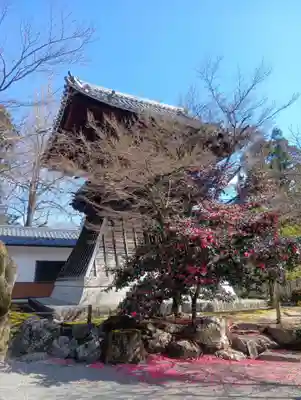 永保寺(岐阜県)