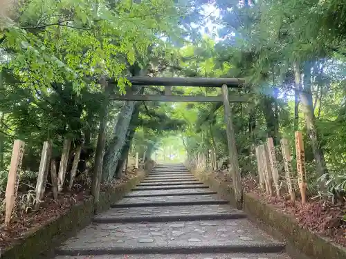高龗神社の{uncategorized: "未分類", other: "その他", undefined: "問題あり", building: "その他建物", grave: "お墓", sacred_gate: "鳥居", guardian: "狛犬", statue: "像", buddha: "仏像", history: "歴史", nature: "自然", garden: "庭園", animal: "動物", pagoda: "塔", temizu: "手水舎", mountain_gate: "山門・神門", sanctuary: "本殿・本堂", subordinate: "末社・摂社", art: "芸術", scenery: "景色", jizo: "地蔵", ema: "絵馬", goshuin: "御朱印", omikuji: "おみくじ", items: "授与品その他", amulet: "お守り", goshuincho: "御朱印帳", eats: "食事", festival: "お祭り", votive_dance: "神楽", shichigosan: "七五三参", wedding: "結婚式", experience: "体験その他", initially: "初詣", around: "周辺", anti_infection: "感染症対策"}