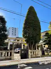 初音森神社の鳥居