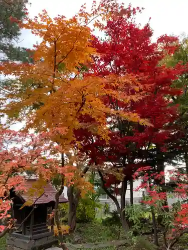 眞久寺の自然