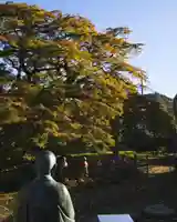 西善寺(埼玉県)