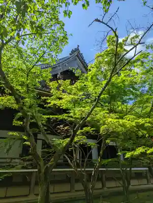 光明寺（粟生光明寺）(京都府)