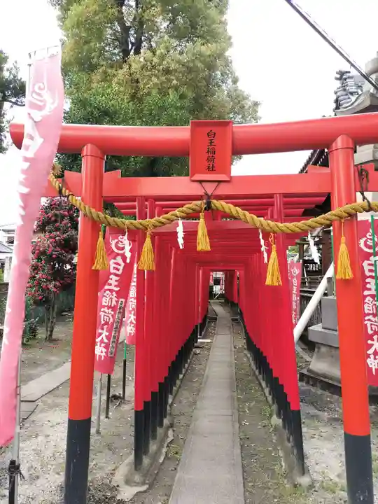 白山神社(名塚白山社)(愛知県)