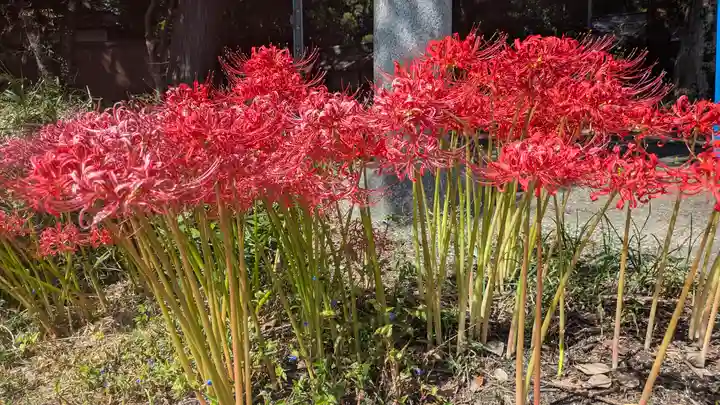 水主神社・樺井月神社・衣縫神社(京都府)