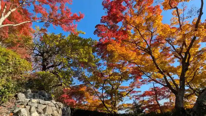 善峯寺(京都府)