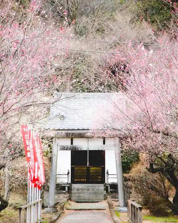 金龍寺(群馬県)