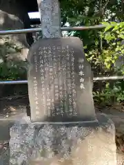 丸子山王日枝神社(神奈川県)