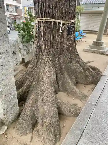 八幡神社の{uncategorized: "未分類", other: "その他", undefined: "問題あり", building: "その他建物", grave: "お墓", sacred_gate: "鳥居", guardian: "狛犬", statue: "像", buddha: "仏像", history: "歴史", nature: "自然", garden: "庭園", animal: "動物", pagoda: "塔", temizu: "手水舎", mountain_gate: "山門・神門", sanctuary: "本殿・本堂", subordinate: "末社・摂社", art: "芸術", scenery: "景色", jizo: "地蔵", ema: "絵馬", goshuin: "御朱印", omikuji: "おみくじ", items: "授与品その他", amulet: "お守り", goshuincho: "御朱印帳", eats: "食事", festival: "お祭り", votive_dance: "神楽", shichigosan: "七五三参", wedding: "結婚式", experience: "体験その他", initially: "初詣", around: "周辺", anti_infection: "感染症対策"}