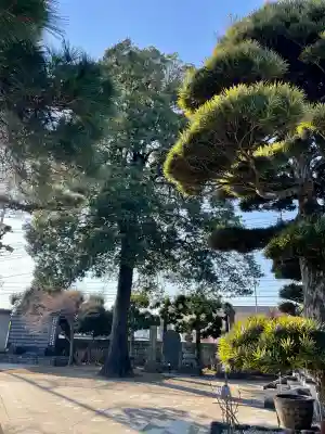 尊勝院の{uncategorized: "未分類", other: "その他", undefined: "問題あり", building: "その他建物", grave: "お墓", sacred_gate: "鳥居", guardian: "狛犬", statue: "像", buddha: "仏像", history: "歴史", nature: "自然", garden: "庭園", animal: "動物", pagoda: "塔", temizu: "手水舎", mountain_gate: "山門・神門", sanctuary: "本殿・本堂", subordinate: "末社・摂社", art: "芸術", scenery: "景色", jizo: "地蔵", ema: "絵馬", goshuin: "御朱印", omikuji: "おみくじ", items: "授与品その他", amulet: "お守り", goshuincho: "御朱印帳", eats: "食事", festival: "お祭り", votive_dance: "神楽", shichigosan: "七五三参", wedding: "結婚式", experience: "体験その他", initially: "初詣", around: "周辺", anti_infection: "感染症対策"}