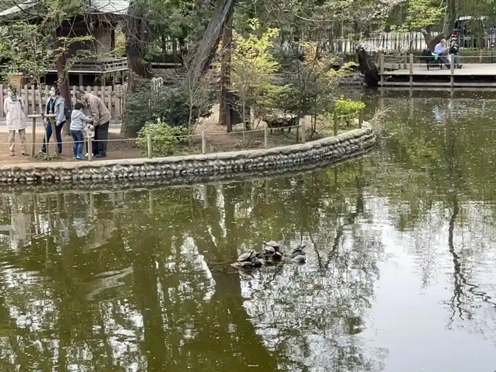 武蔵一宮氷川神社の庭園