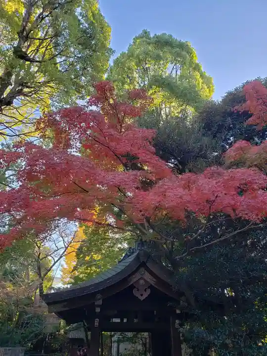 渋谷氷川神社(東京都)